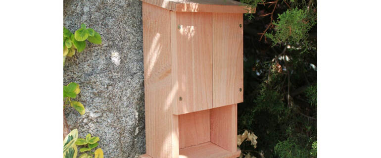 Image de l'actualité Un abri à chauve-souris dans votre jardin